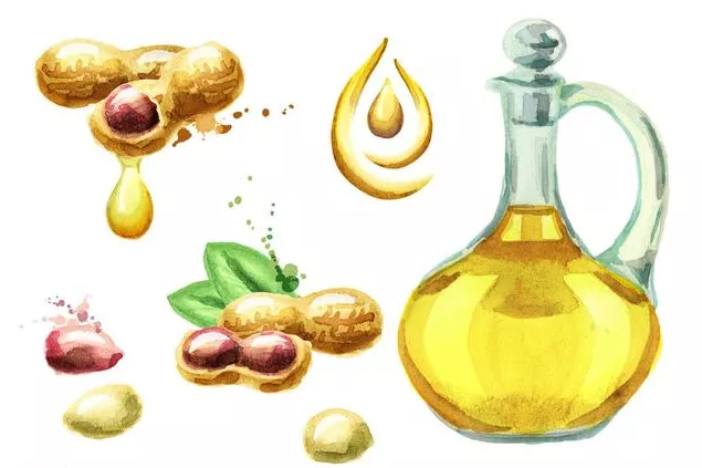 海口月子中心 孕四月 准妈妈选择食用油 应当保持多元化 带给你惊喜可不少